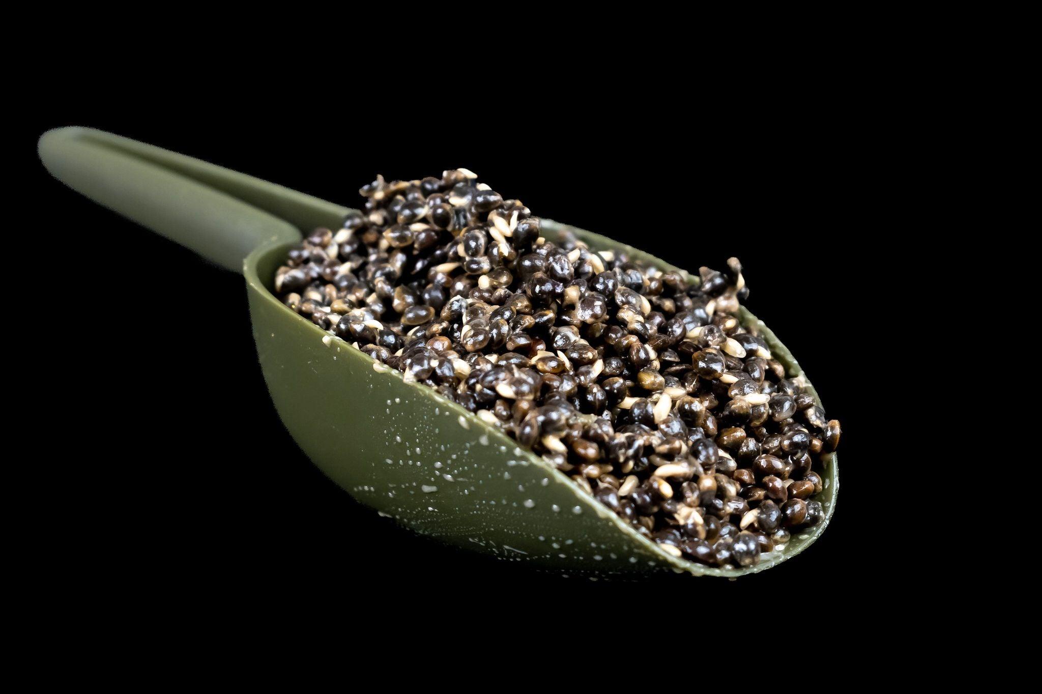 Oily Hemp Seed