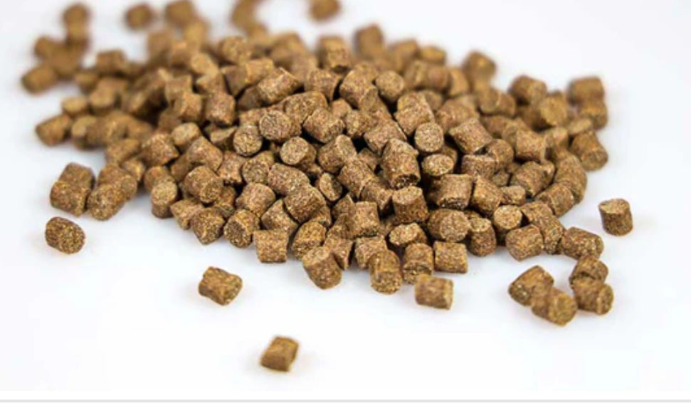 NWBAIT Lab Fusion Pellets