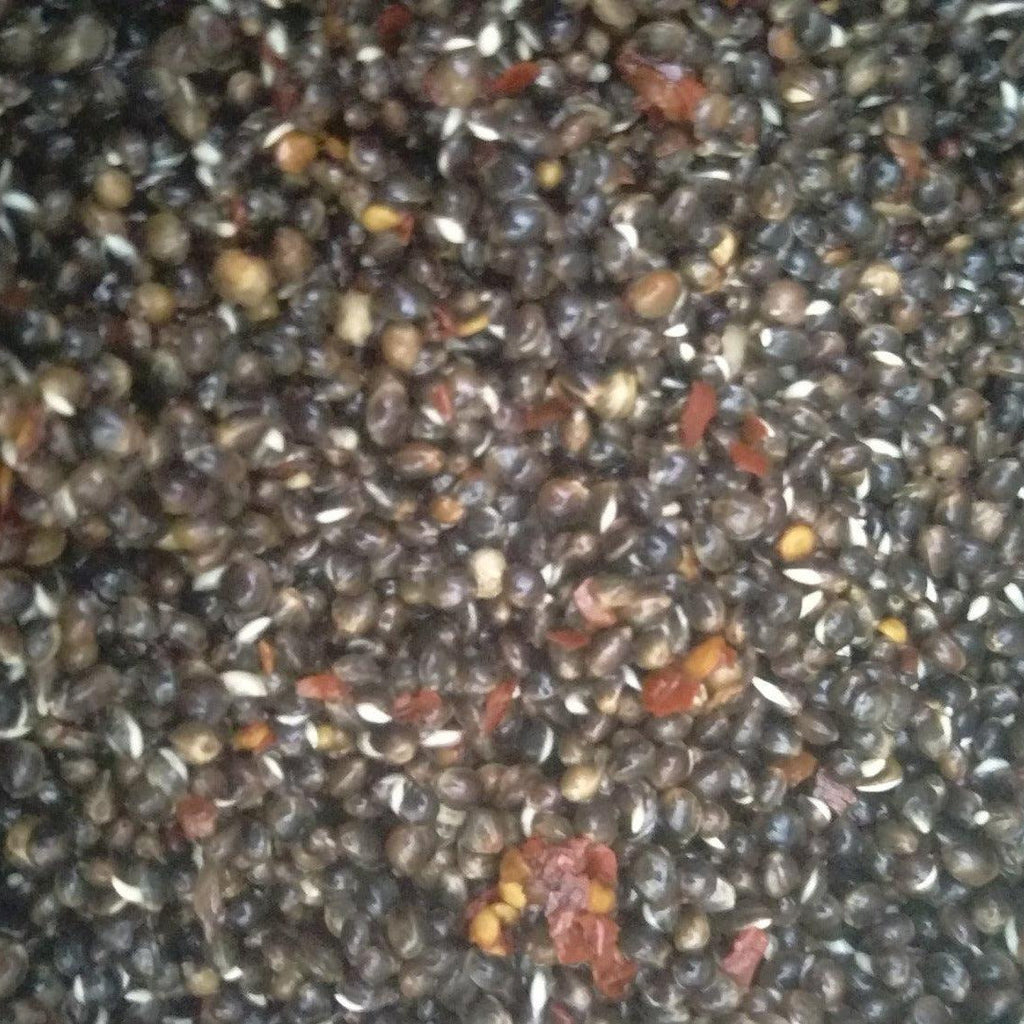 Chilli Hemp Seed