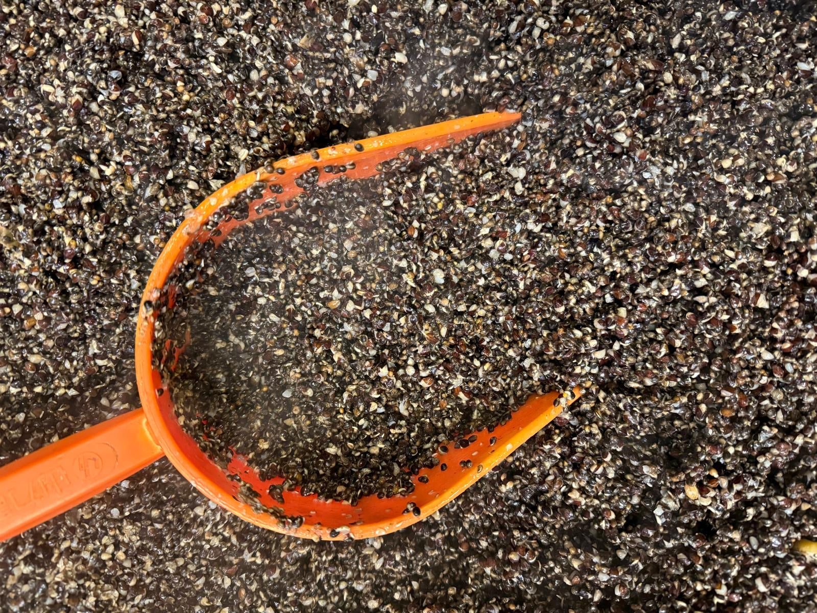 Hemp & Buckwheat (5kg)