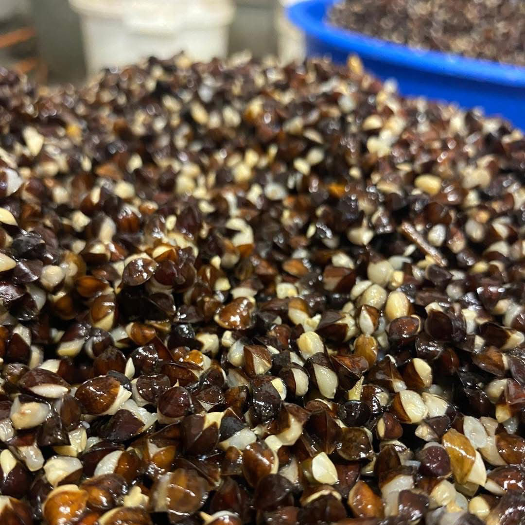 Buckwheat