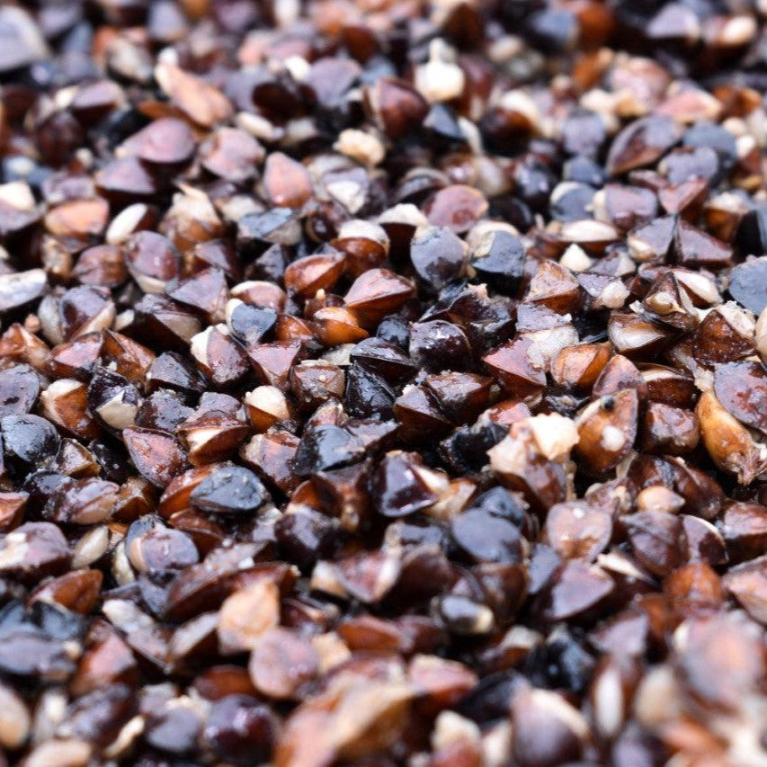 Buckwheat
