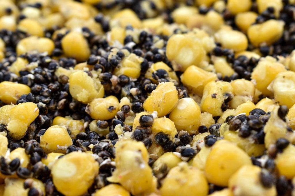 Hemp & Maize