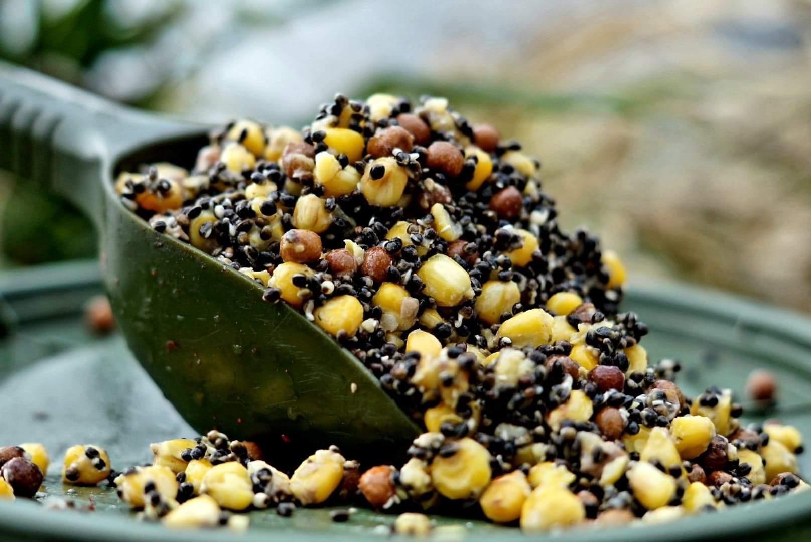 Hemp & Maize & Maples