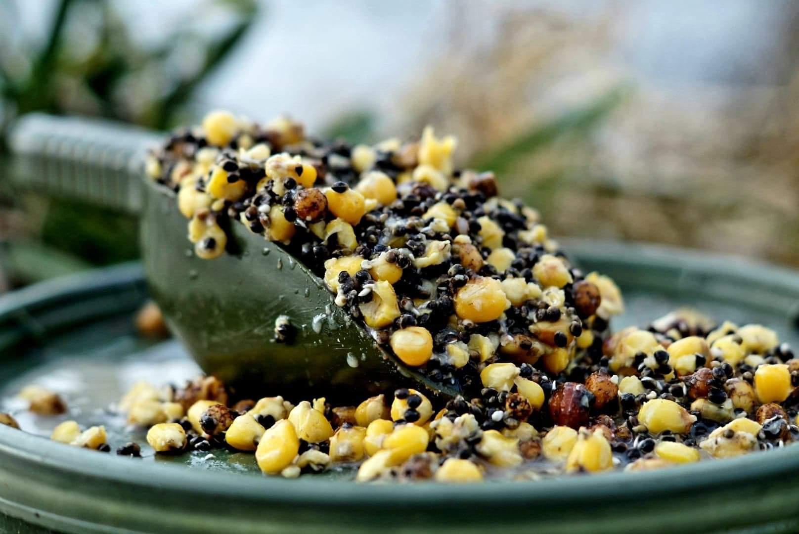 Hemp & Maize & Tigers (H.M.T)