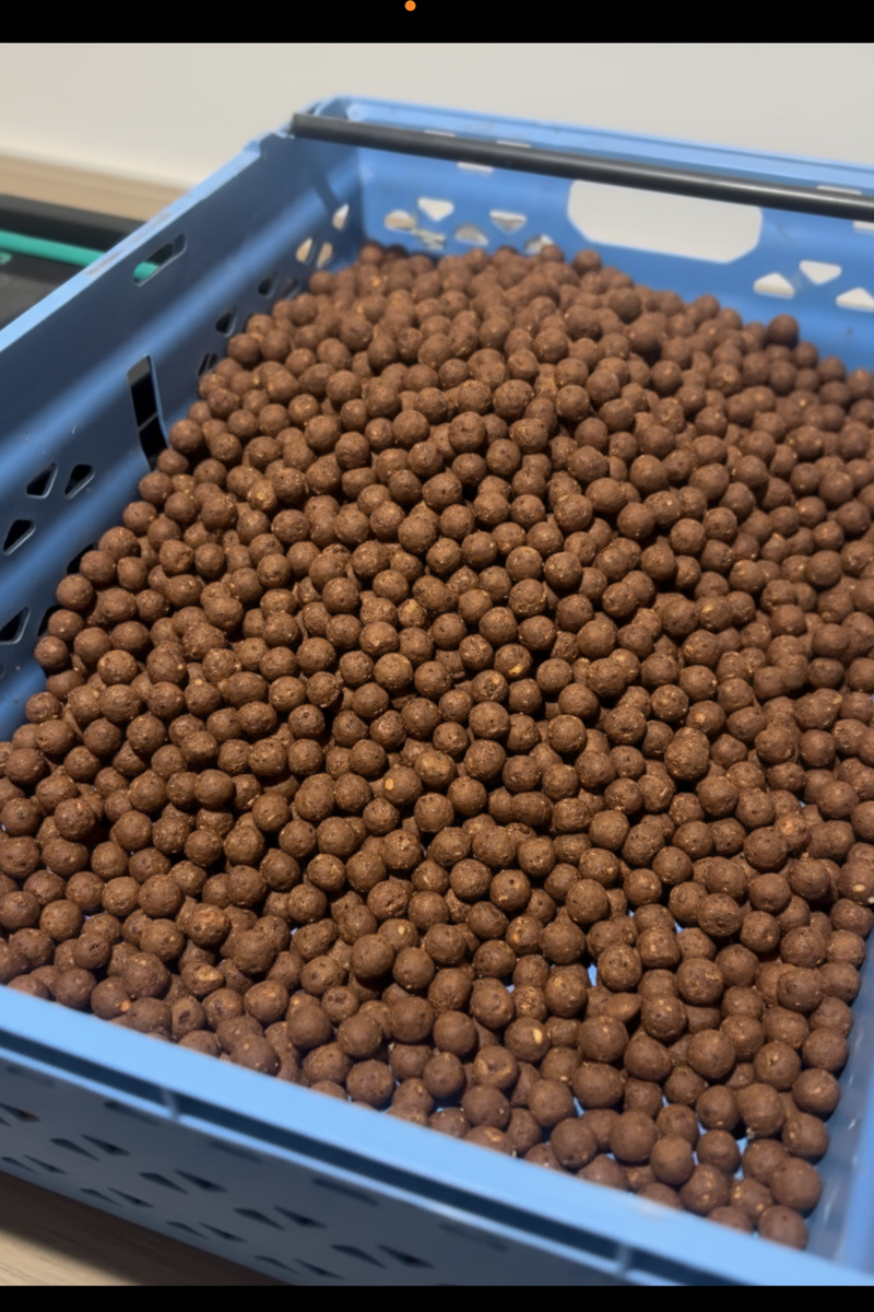 Reddish-brown boilies in blue basket